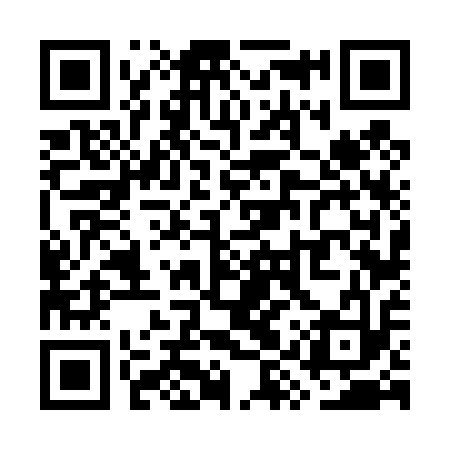 QR code for WYV413