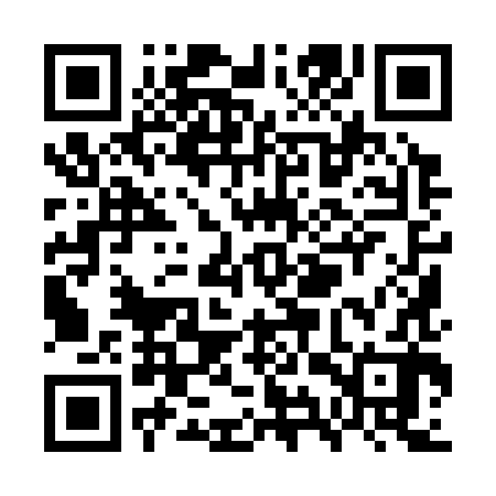 QR code for WYY382