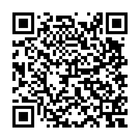 QR code for WYZ411