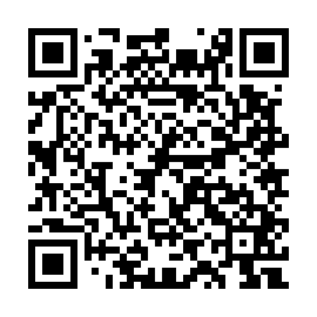 QR code for WYZ541