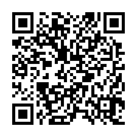 QR code for WZB307