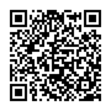 QR code for WZD294