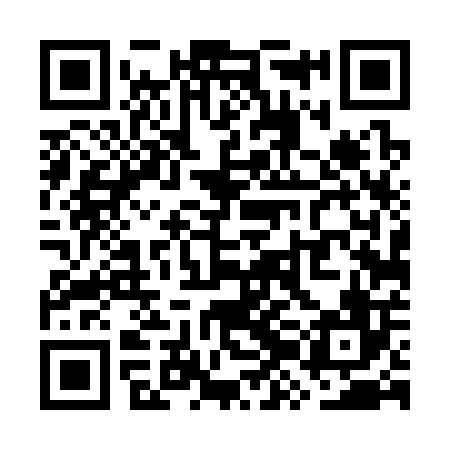 QR code for WZD306