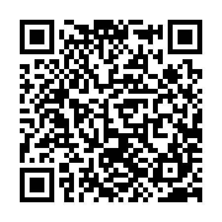 QR code for WZD384