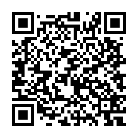 QR code for WZD529