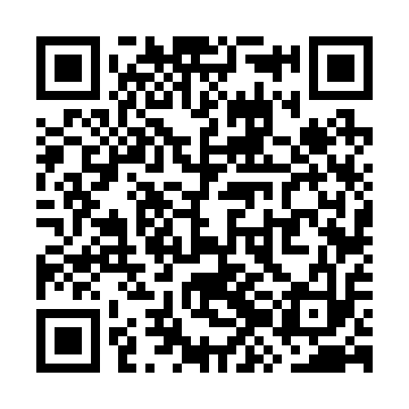 QR code for WZF213