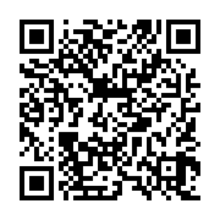 QR code for WZL009
