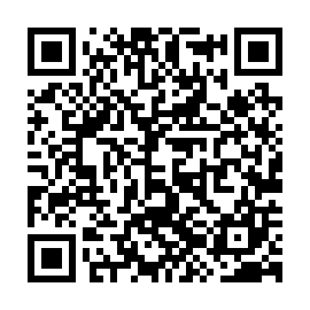 QR code for WZL207