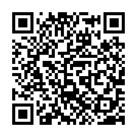 QR code for WZL298