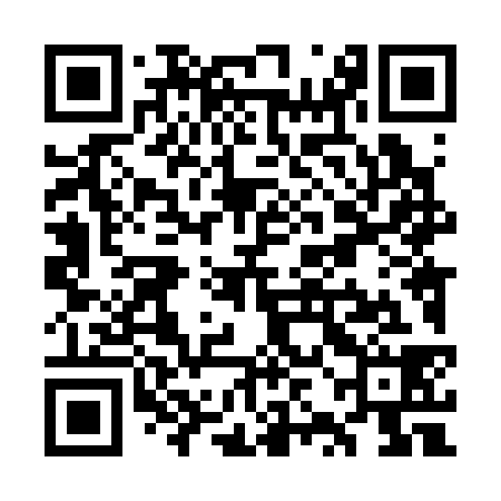 QR code for WZL338