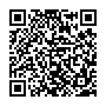 QR code for WZL616