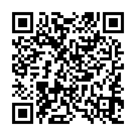 QR code for WZL951