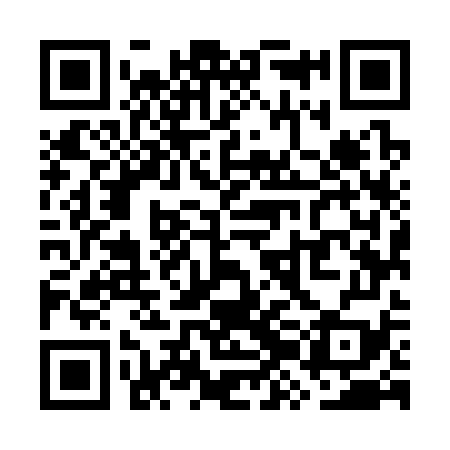QR code for WZM379