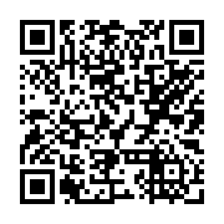 QR code for WZN294