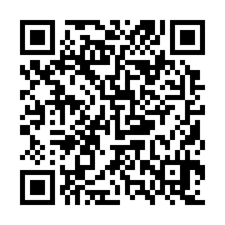 QR code for WZQ334
