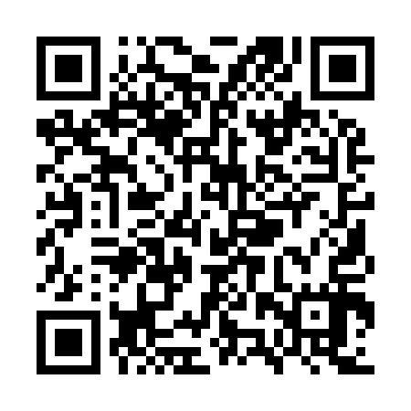 QR code for WZQ917