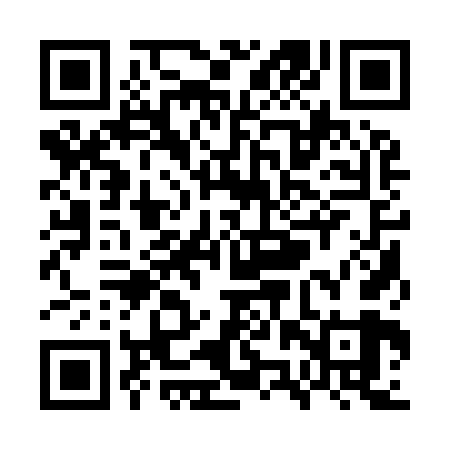 QR code for WZQ969