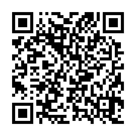 QR code for WZS334