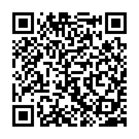 QR code for WZS399