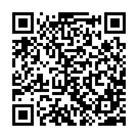 QR code for WZT386
