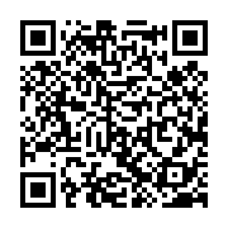 QR code for WZT438