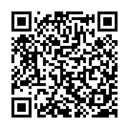 QR code for WZV095