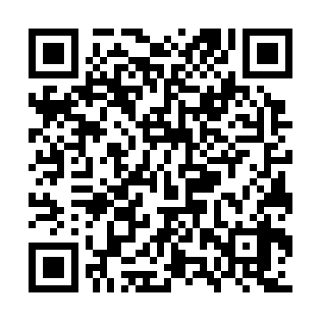 QR code for WZW338