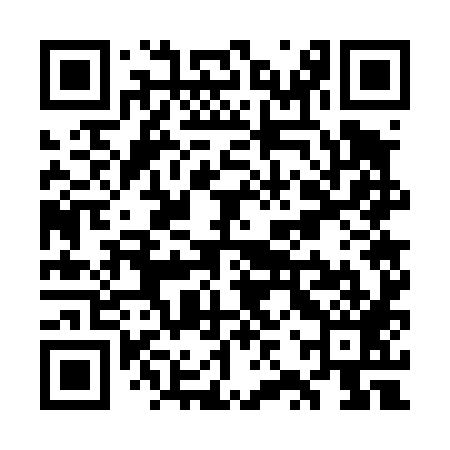 QR code for WZW489