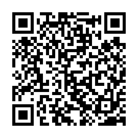 QR code for WZW613