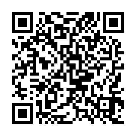 QR code for WZX913