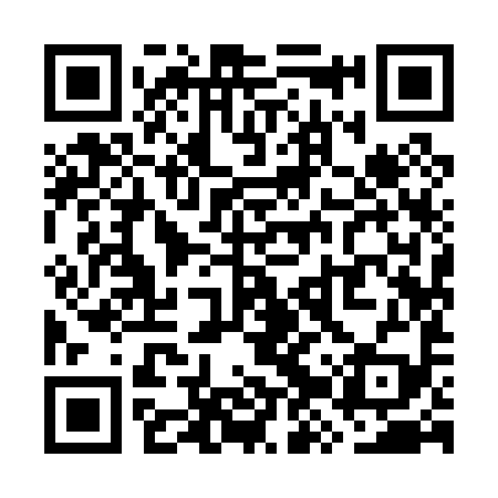 QR code for WZY099