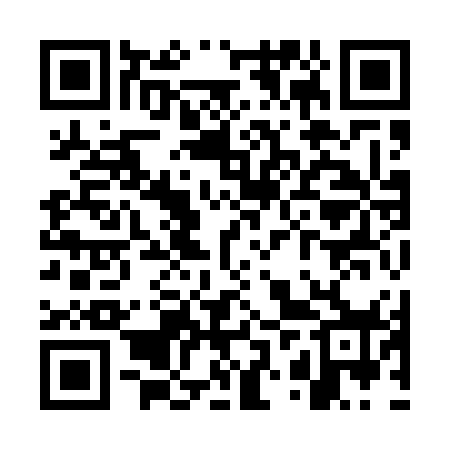 QR code for WZY578