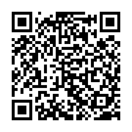QR code for WZY589