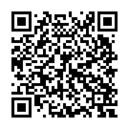 QR code for WZY643
