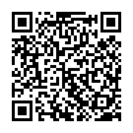 QR code for WZZ409
