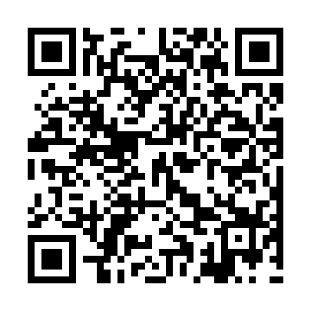 QR code for XAG239