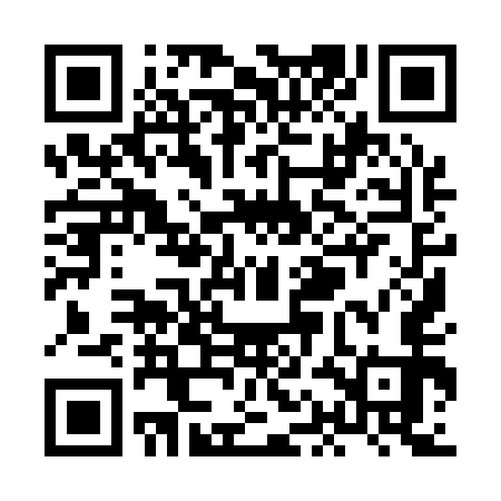 QR code for XAI153
