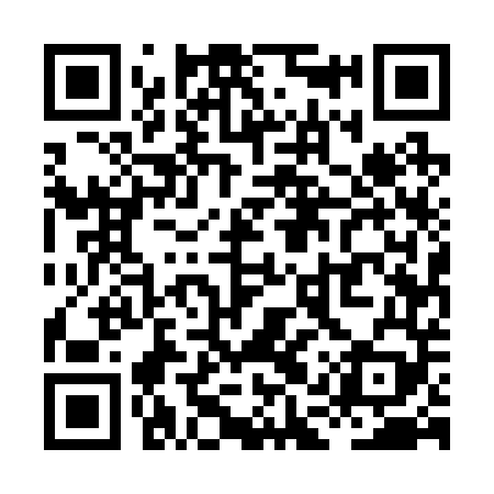 QR code for XAU249