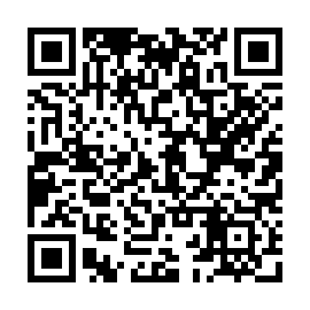 QR code for XBT383