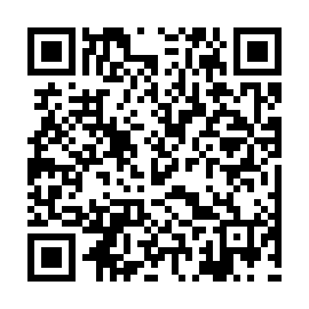 QR code for XBV384