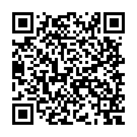 QR code for XBZ593