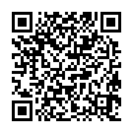 QR code for XCG383