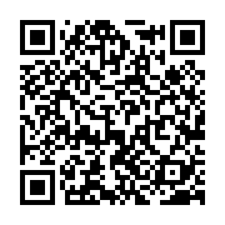 QR code for XCL029