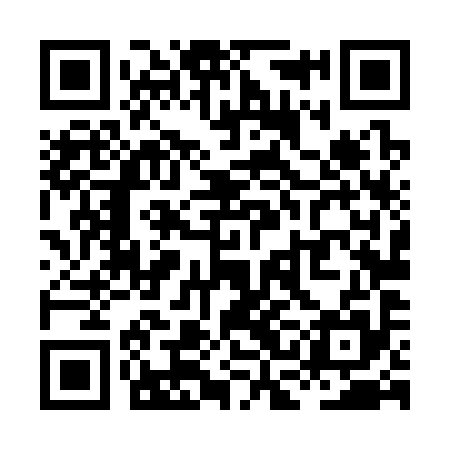 QR code for XCL395