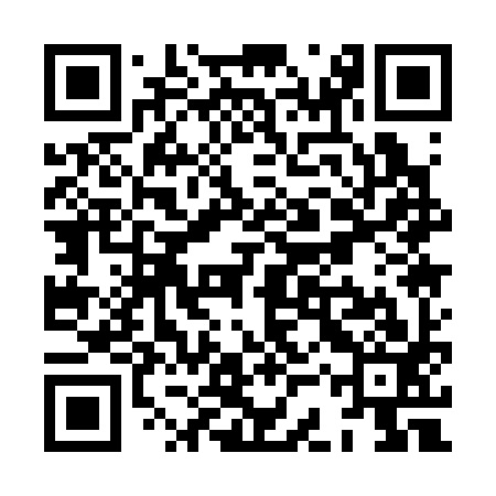 QR code for XCQ393