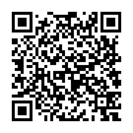 QR code for XCV939