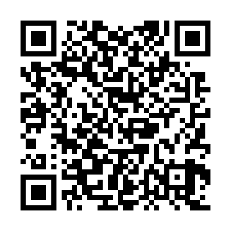 QR code for XDD729