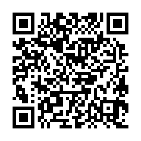 QR code for XDG381