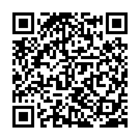 QR code for XDI219