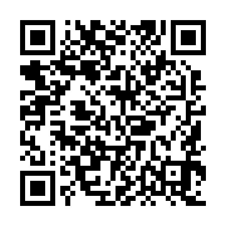 QR code for XDI291